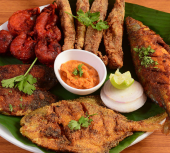 Kokan Nx Spl